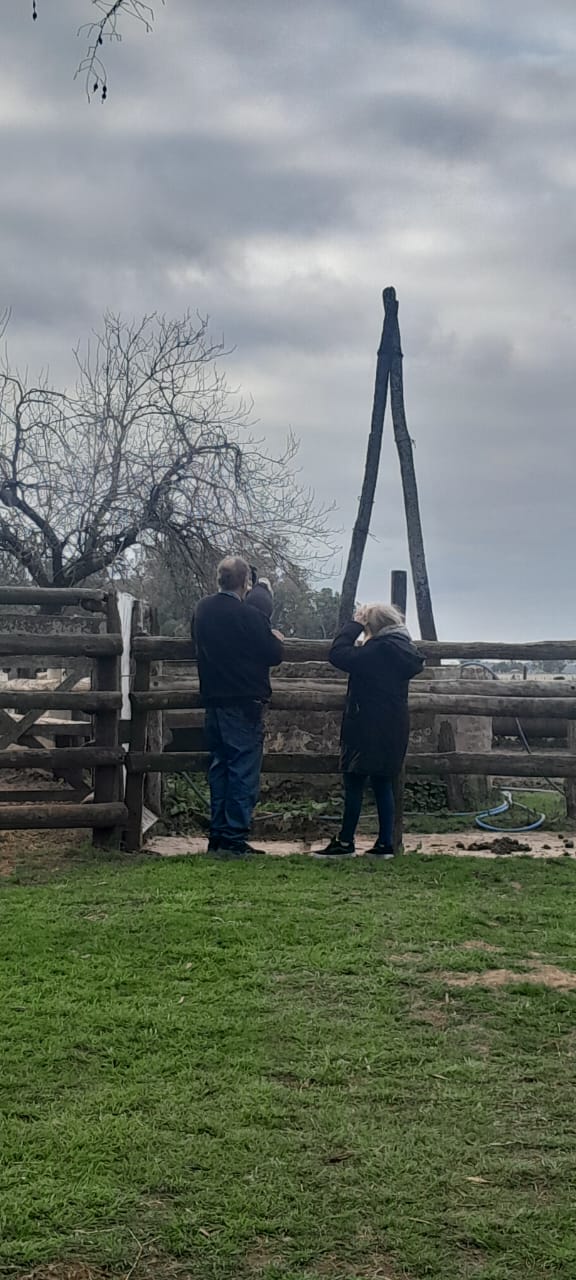 WhatsApp Image 2025-08-16 at 17.53.13(1).jpeg